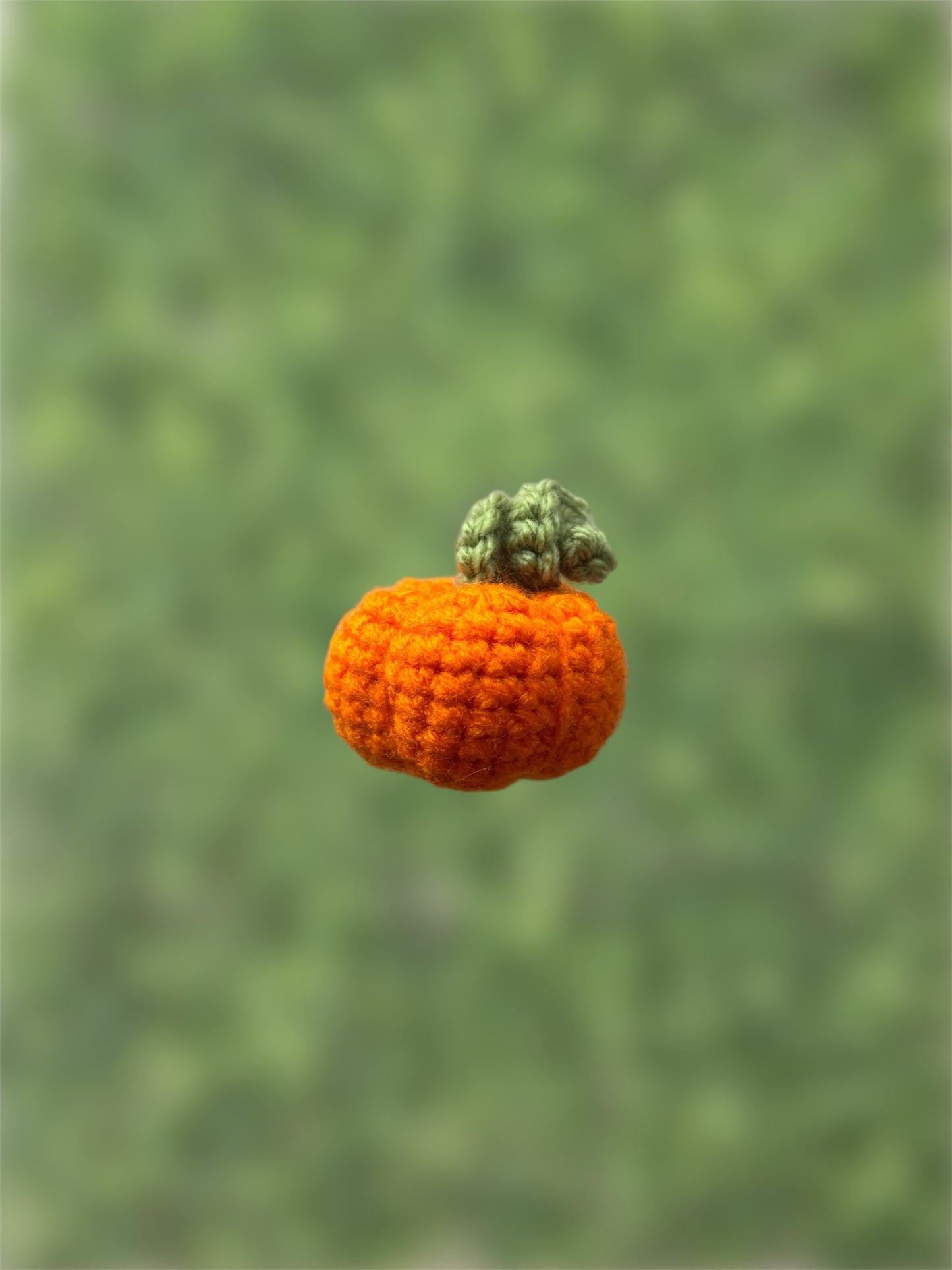 Crochet Car Hanger